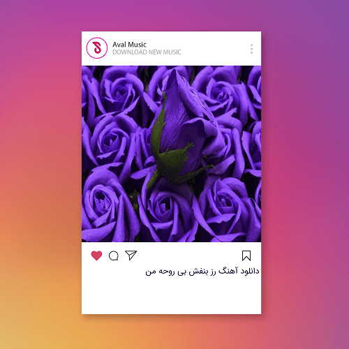 رز بنفش بی روحه من