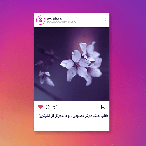 گل گل نیلوفری