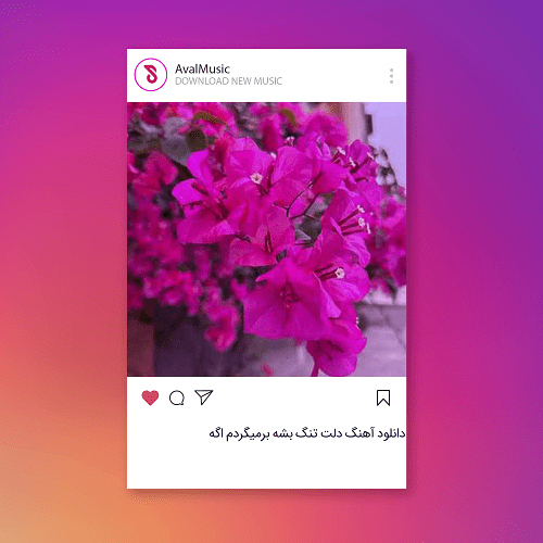 دلت تنگ بشه برمیگردم اگه