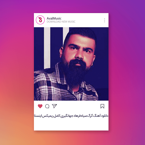 گرگ سیاه