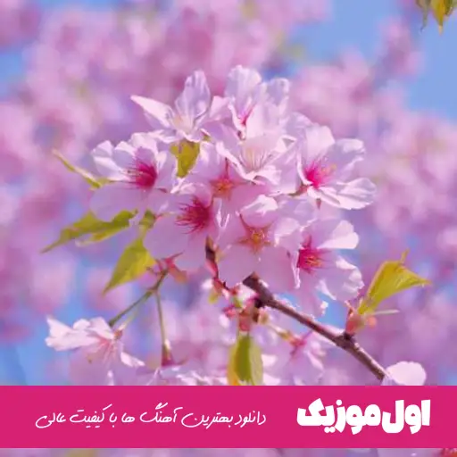 ریمیکس های علی گرایلی ۱۴۰۴