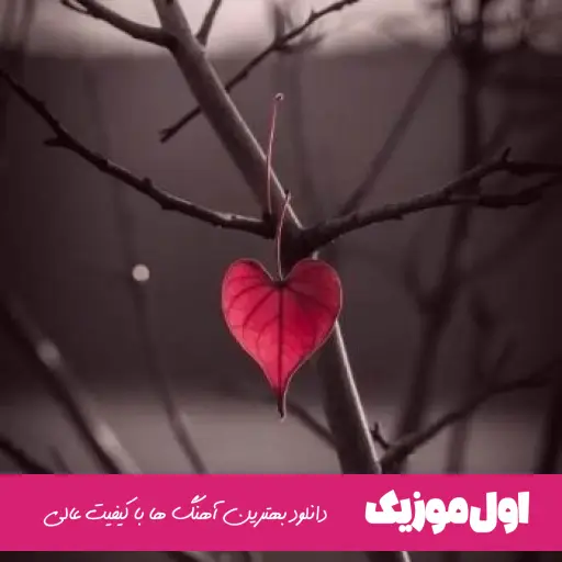  بولنت ارسوی